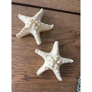 Vintage set of Starfish candles
